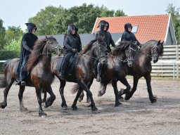 DSC_9227_web